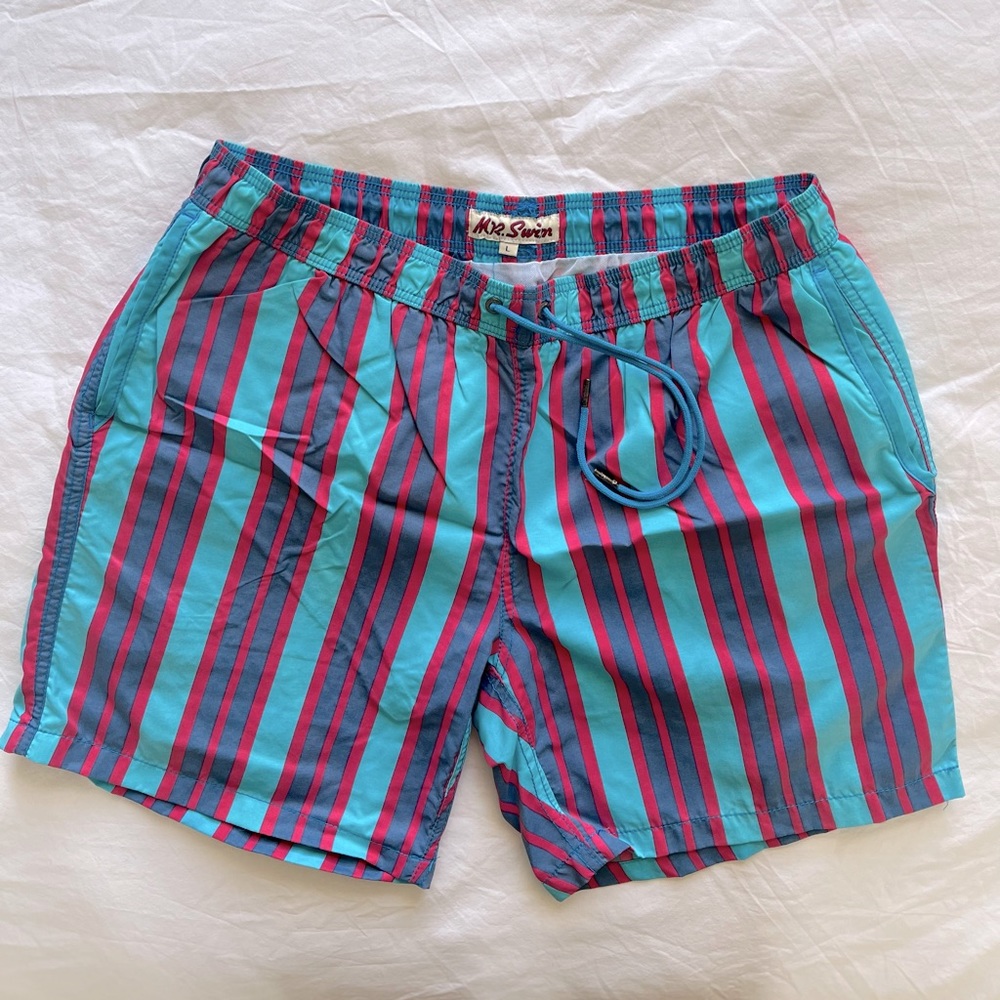 Mr. Swim Swim Trunks - Lined